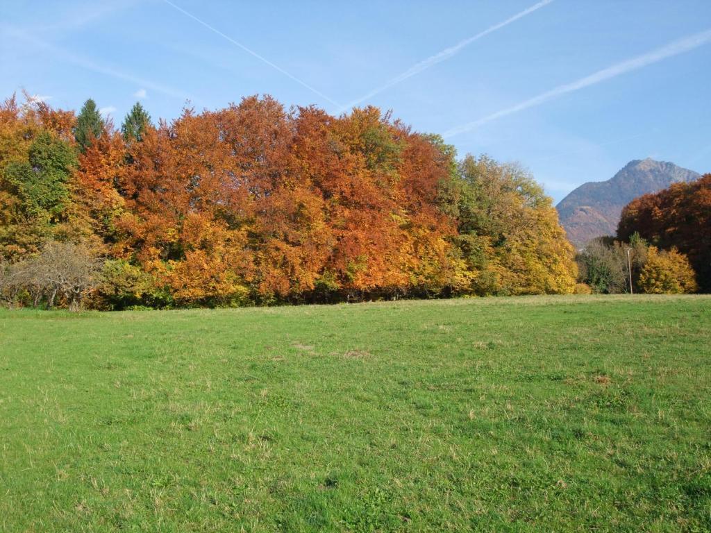 Le Domaine Du Grand Cellier Chambres D'Hotes En Savoie Tournon Exterior photo